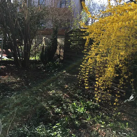 Konukevi Haus Baron 2 Friedrichsfeld 3*