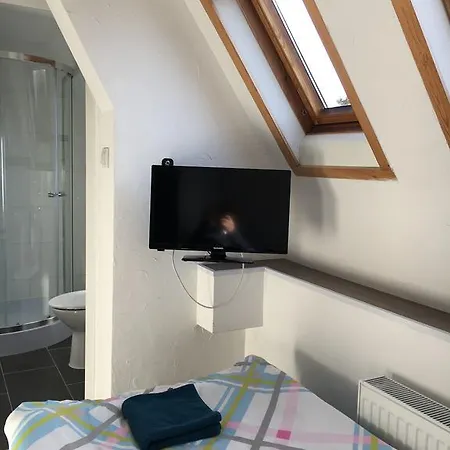 Haus Baron 2 Friedrichsfeld Гостевой дом Edingen-Neckarhausen
