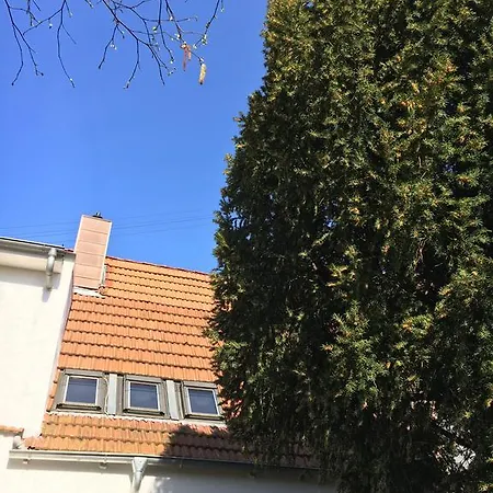 Haus Baron 2 Friedrichsfeld Edingen-Neckarhausen